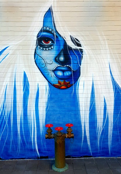 Restaurant Wall Mural of Girl in Bethesda Maryland.
